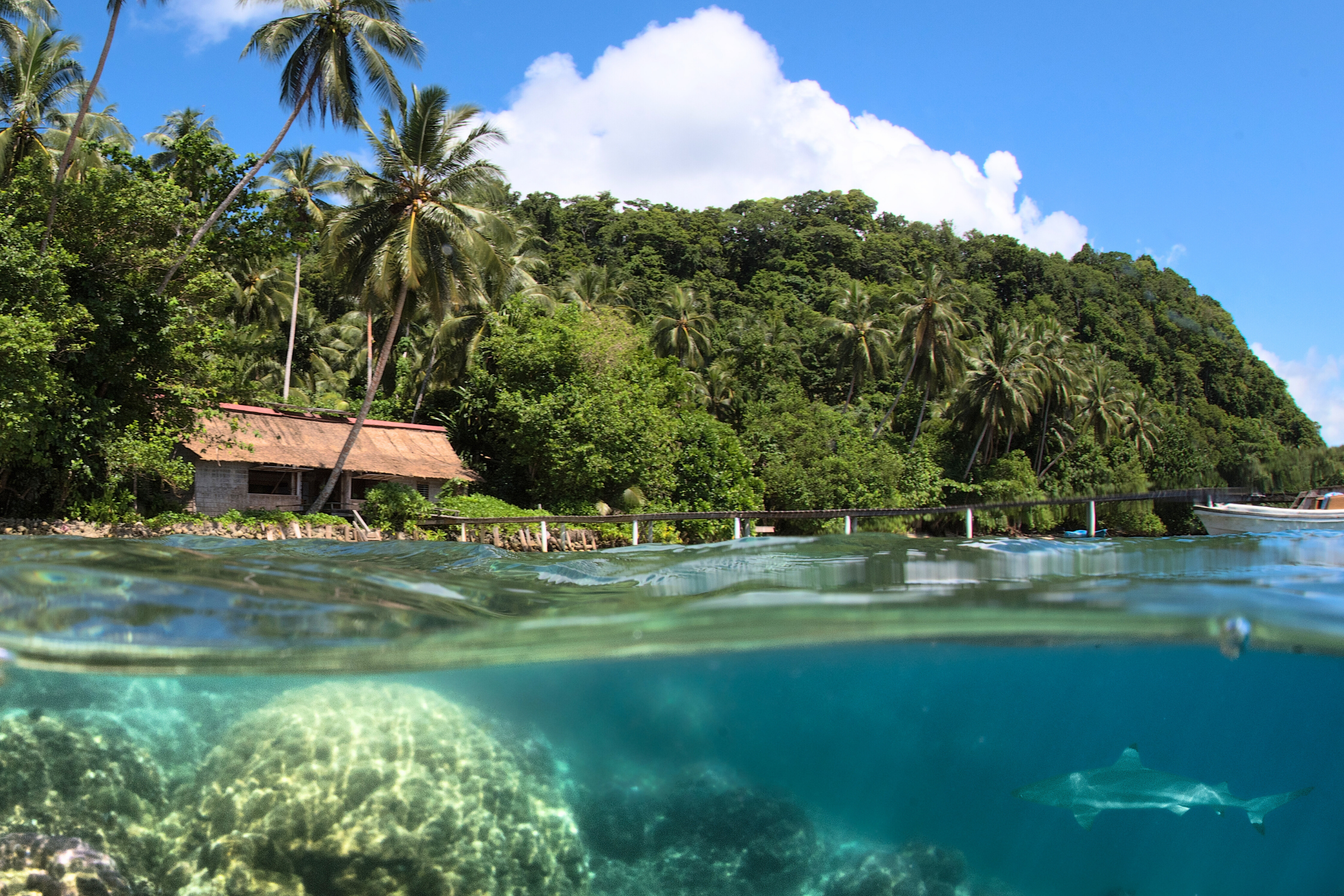 malaita (4).webp